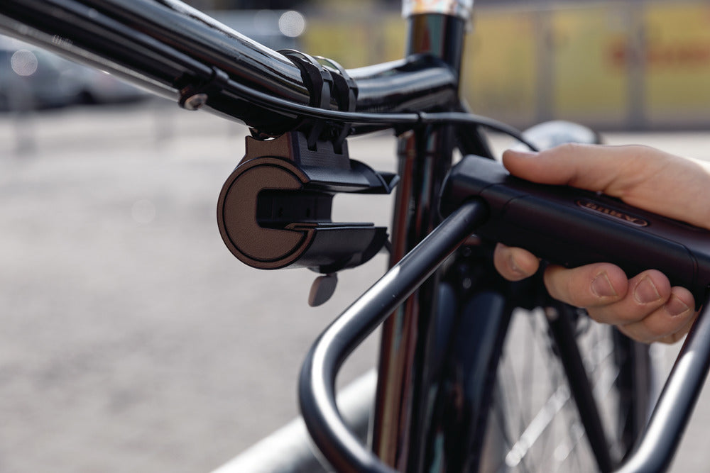 Puerta Antirrobo Universal Abus