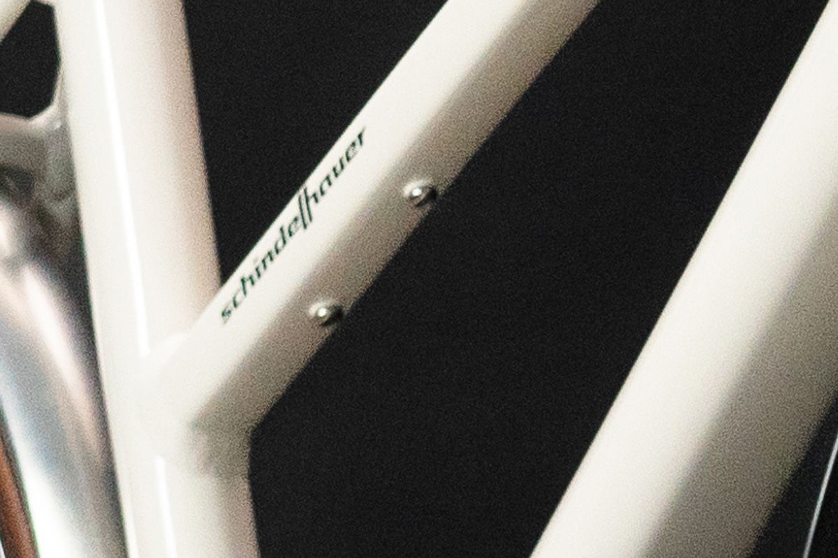 Schindelhauer Antonia Pinion VI women's electric urban bike