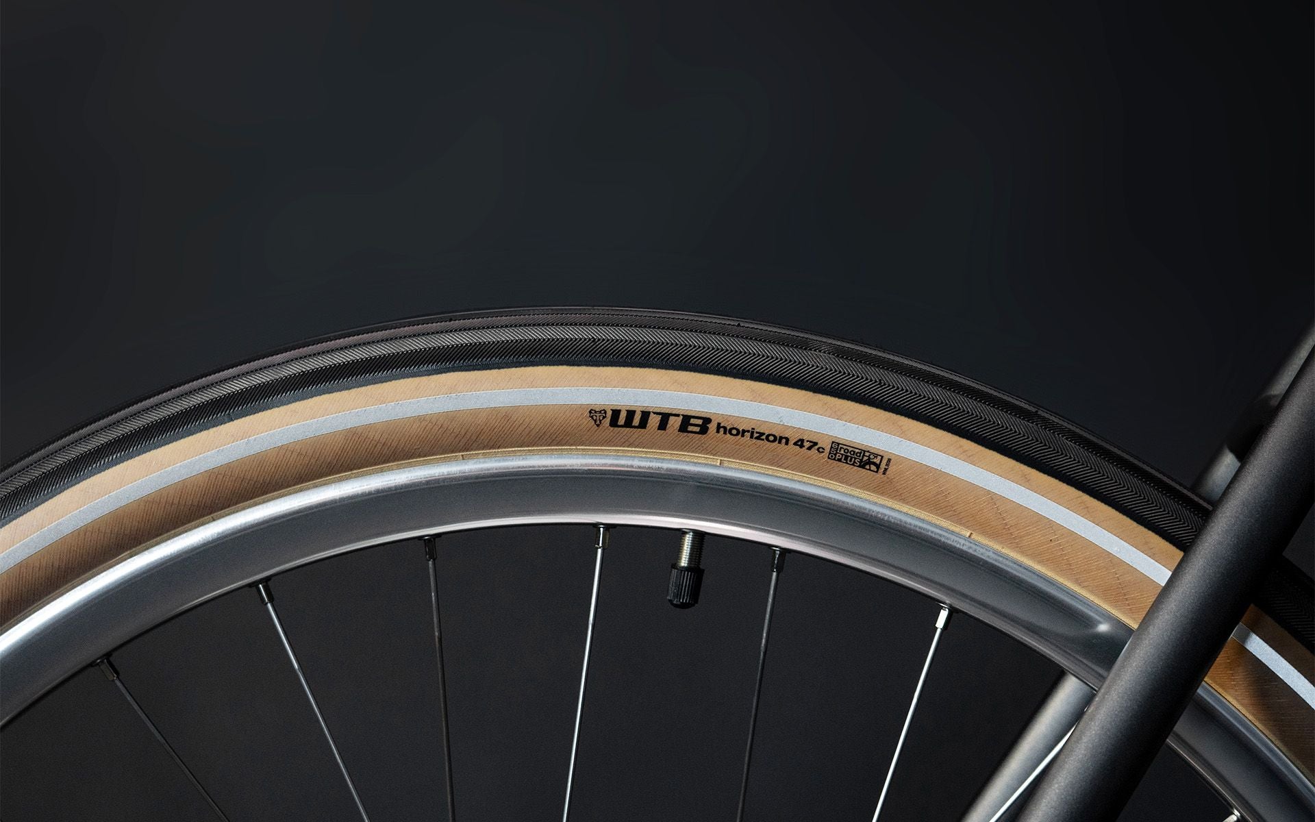 Schindelhauer Arthur Cruiser Bike