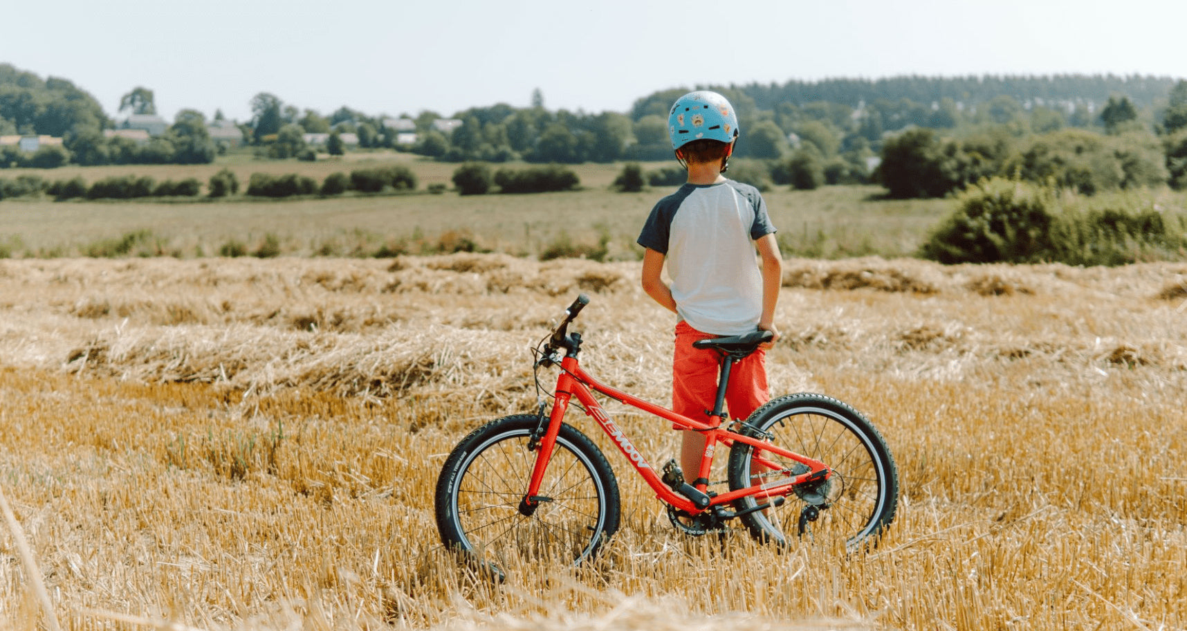 Bemoov M20 20-inch children's bike