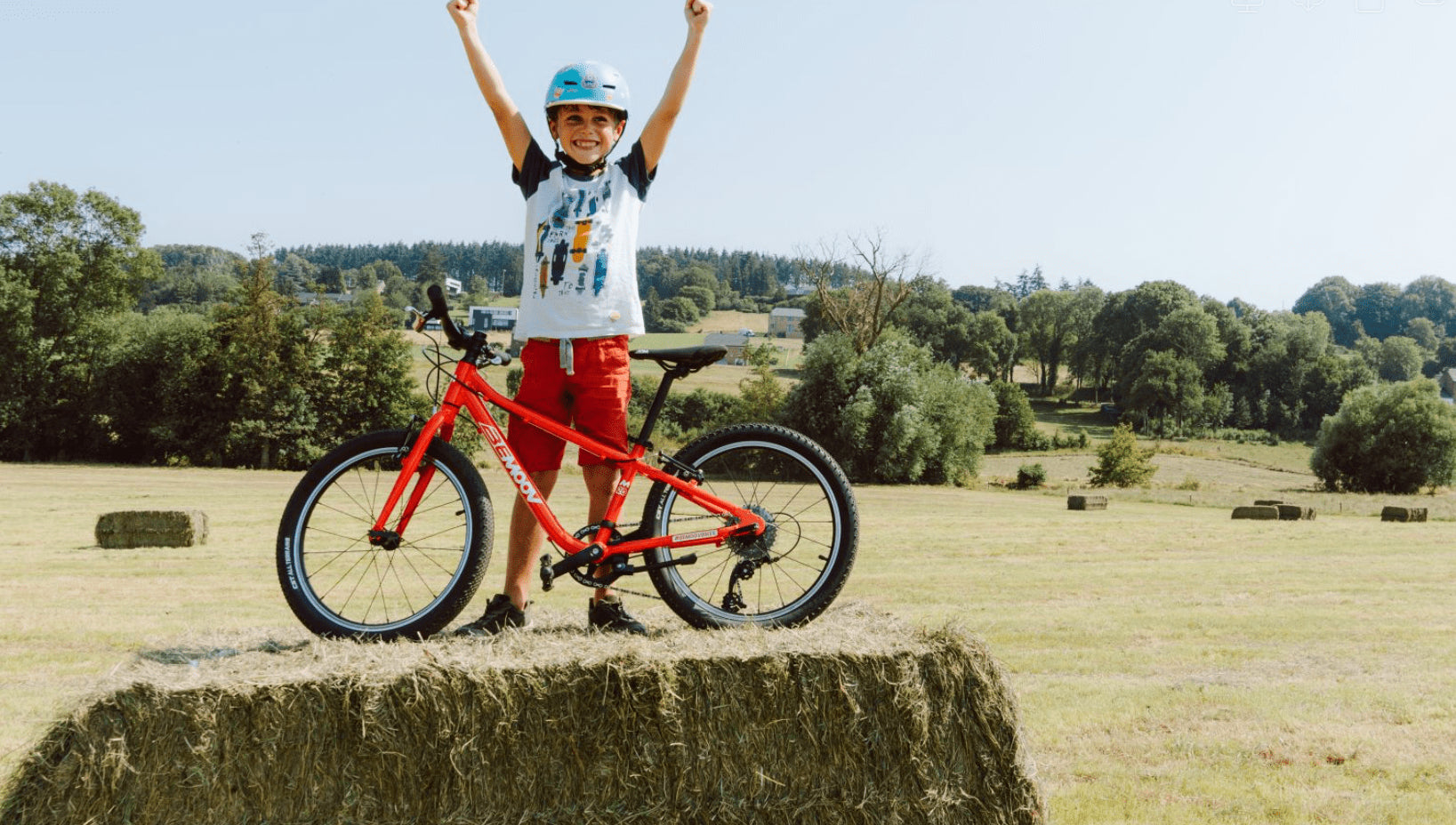 Bemoov M20 20-inch children's bike