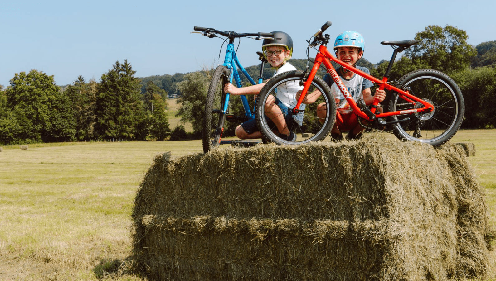 Bemoov M20 20-inch children's bike
