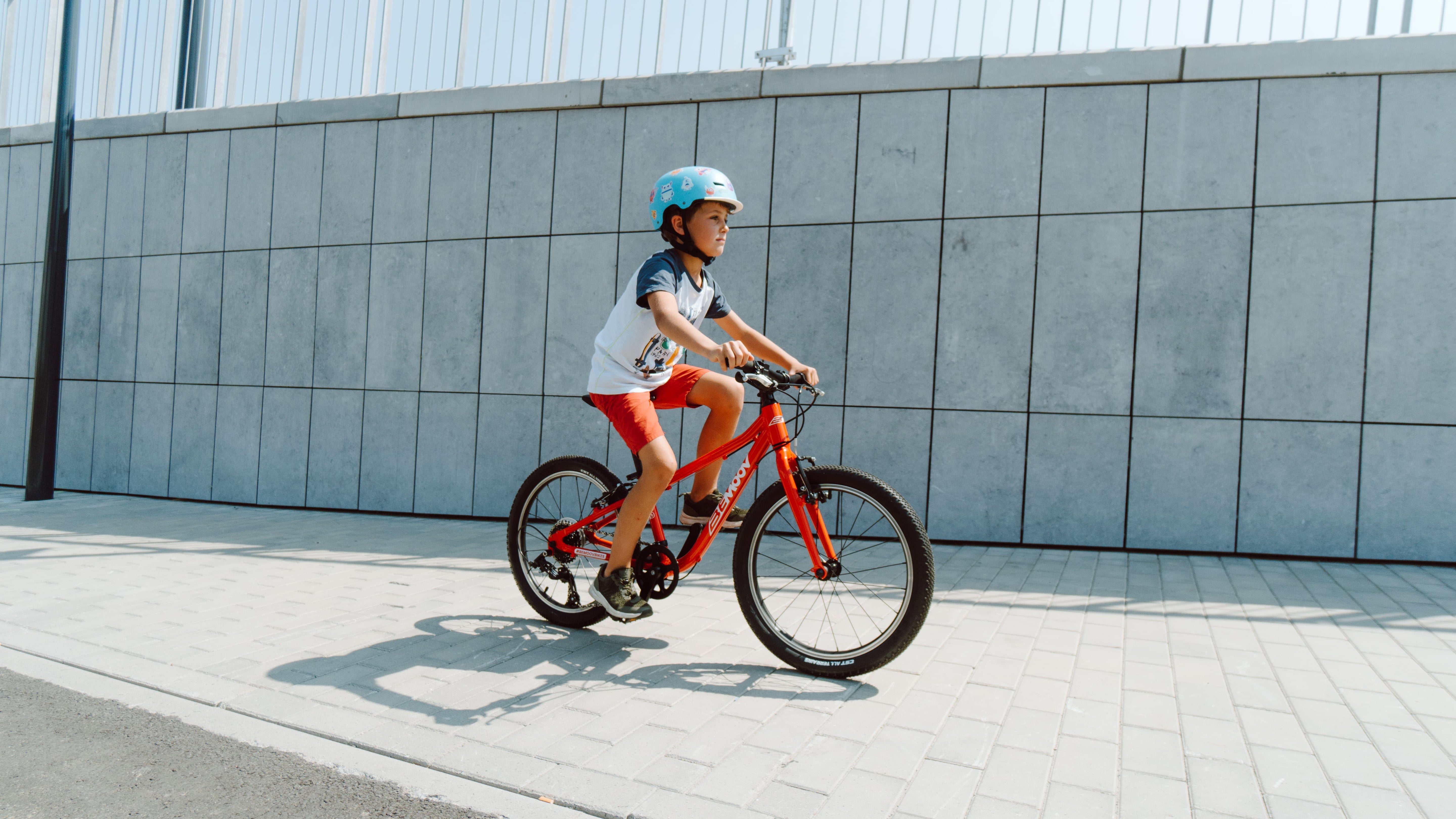 Bemoov M20 20-inch children's bike