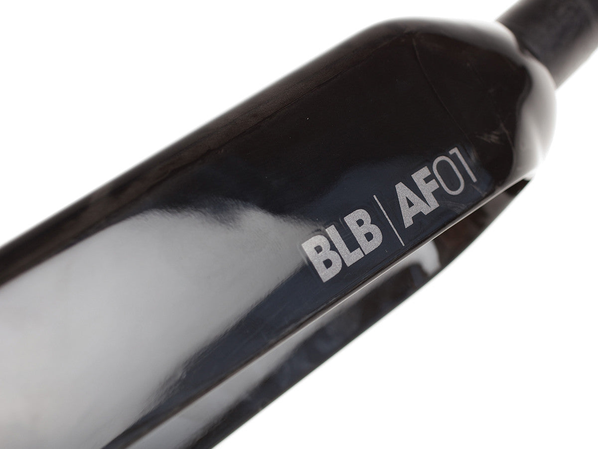 Black Gloss