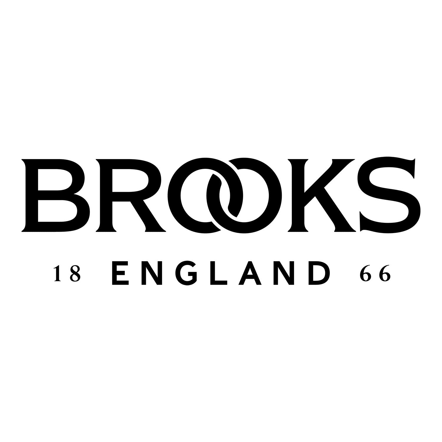 Brooks saddle rails with backplate
