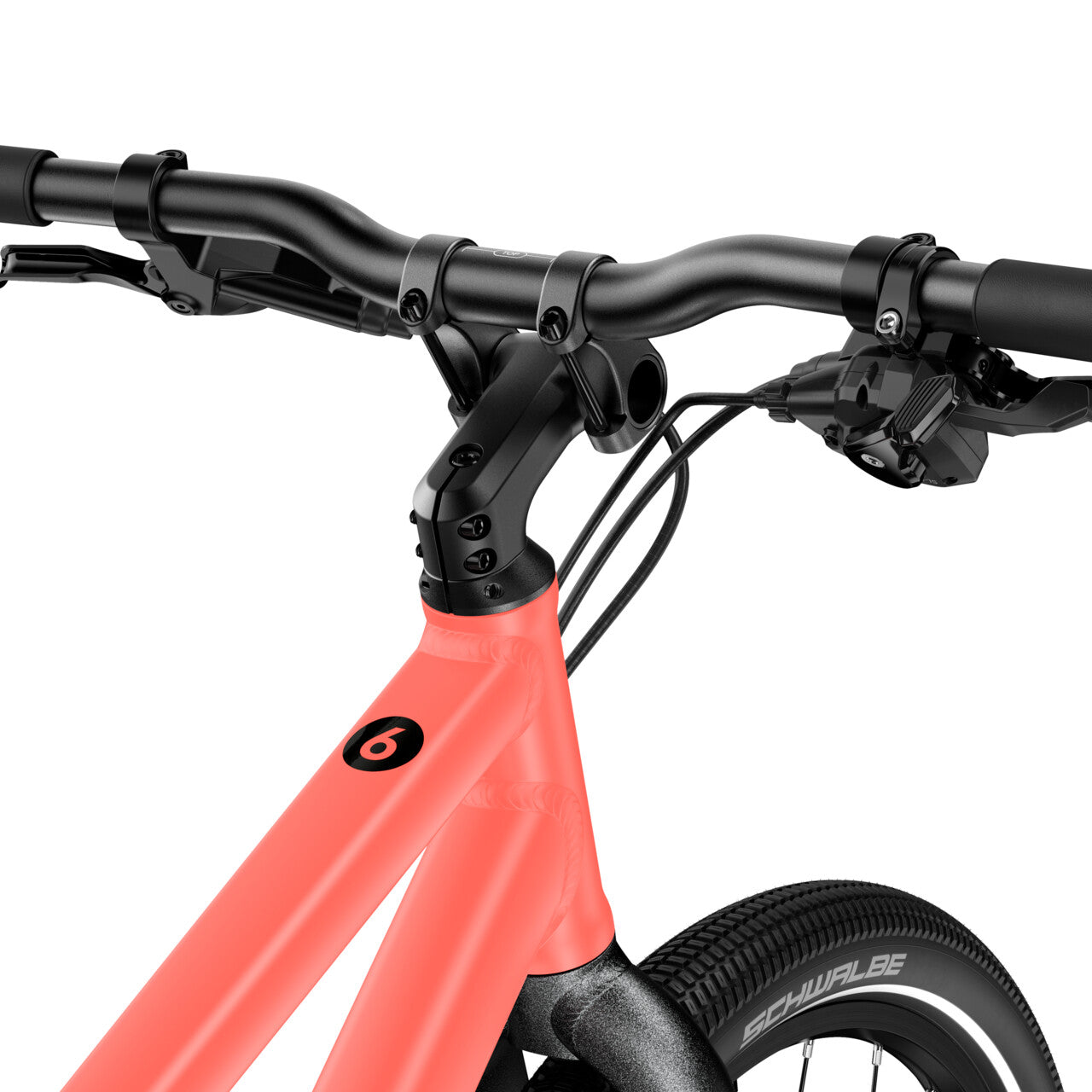 Neon Coral