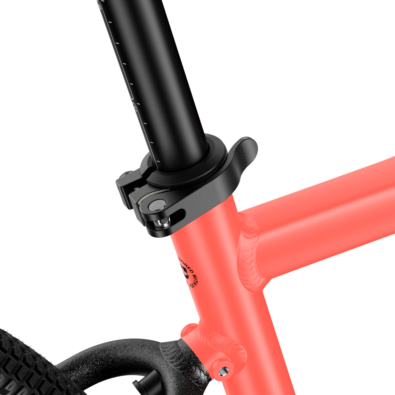Neon Coral