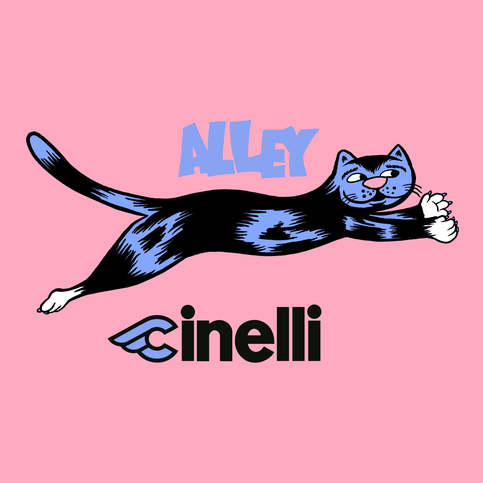 Cappellino da ciclismo Cinelli Alley Cat