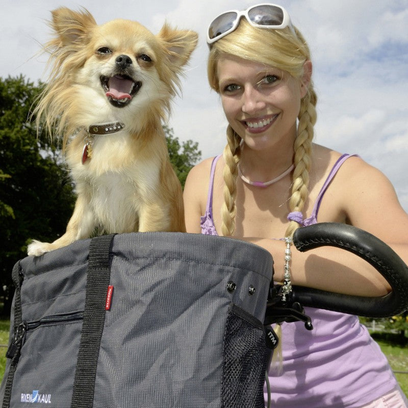 Doggy Klickfix dog bike basket