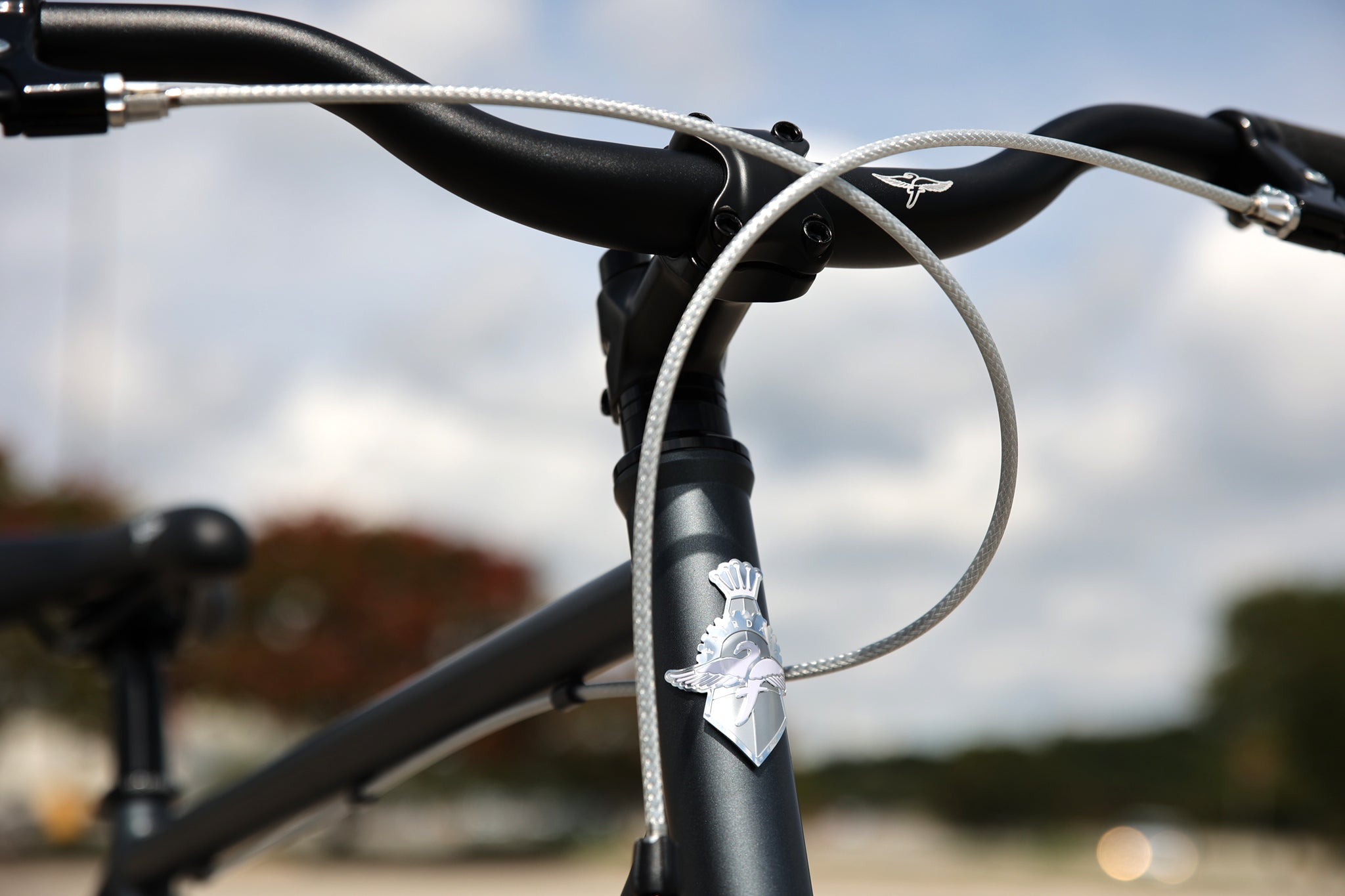 Fairdale Express Singlespeed-Stadtfahrrad