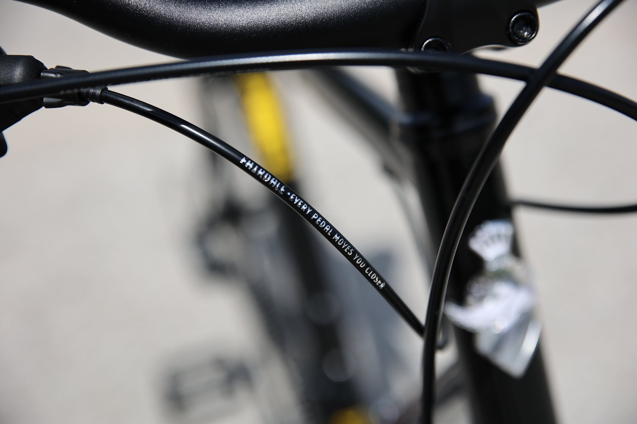 Fairdale Lookfar 8-Gang-Stadtfahrrad