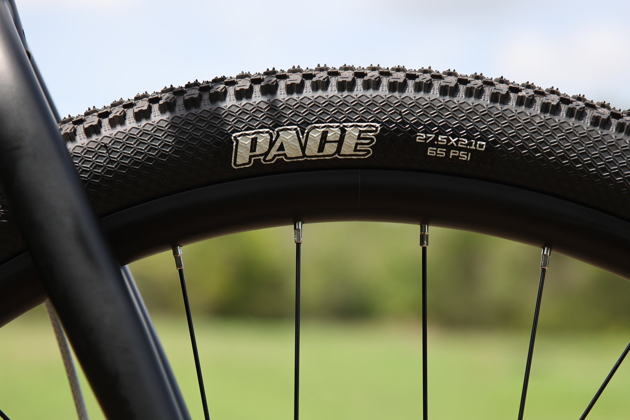 Fairdale Weekender Archer mountain bike