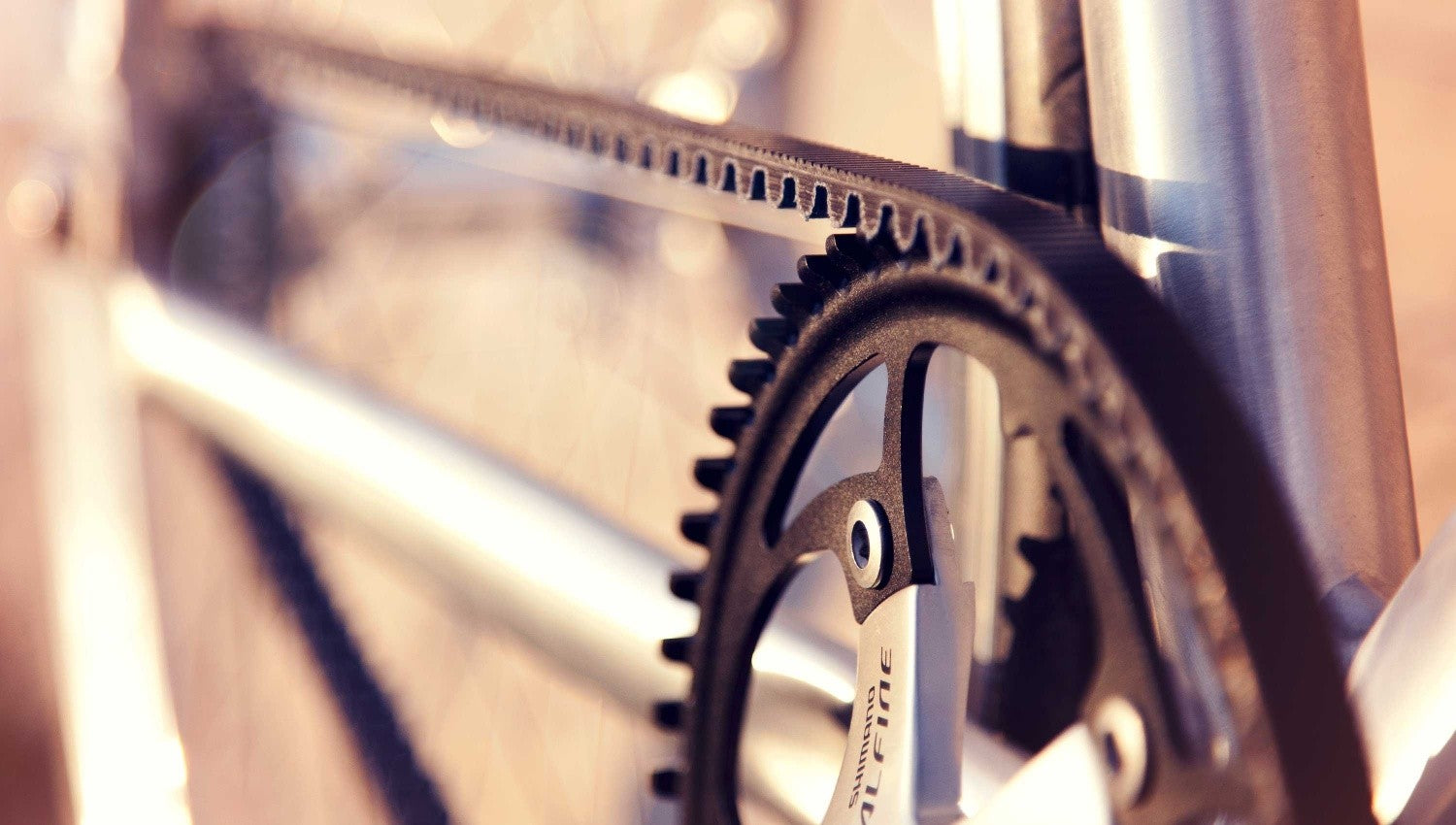 Fixiefiets / Singlespeed Schindelhauer Siegfried