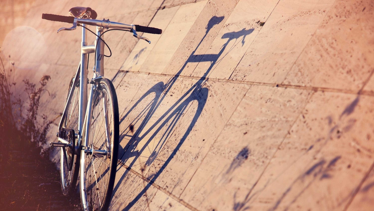 Fixiefiets / Singlespeed Schindelhauer Siegfried