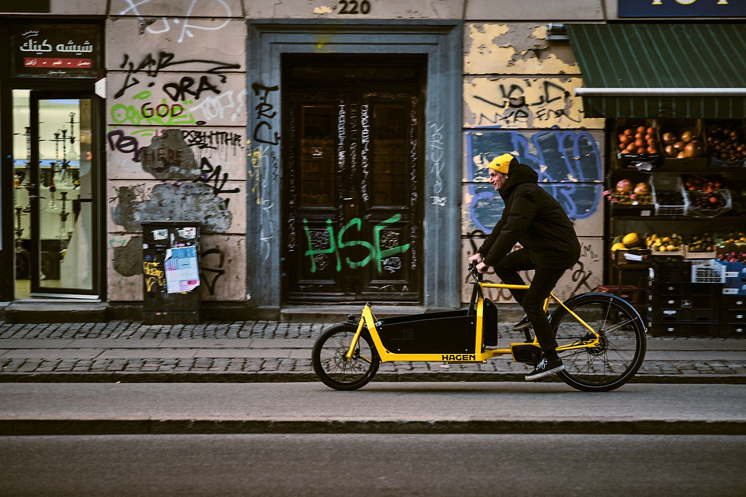Hagen Bikes Cargo Bike Seitenteile