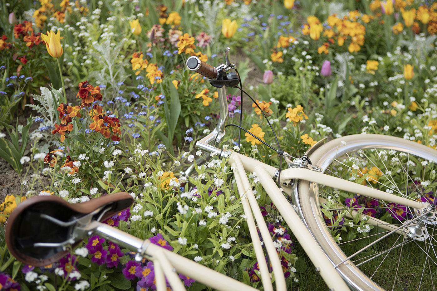 InFiné Cycles Flâneuse Stadsfiets - Crème