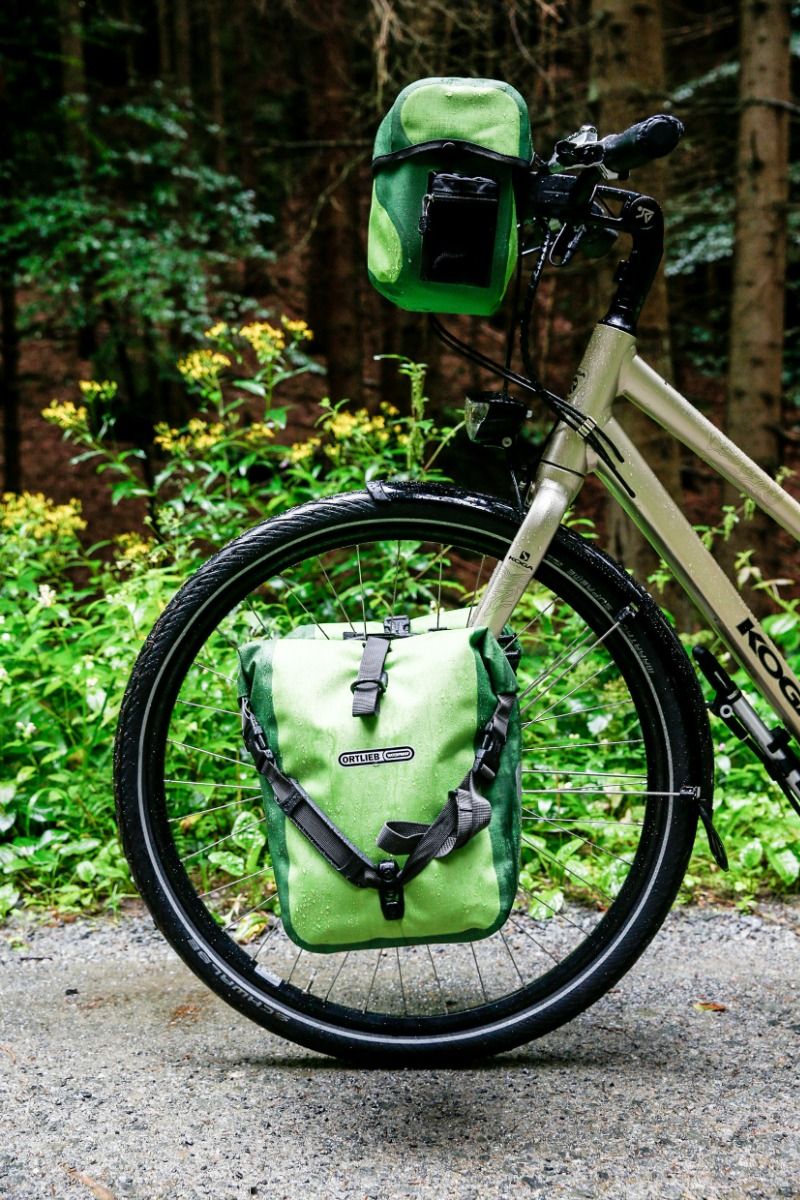 Kiwi - Moss Green