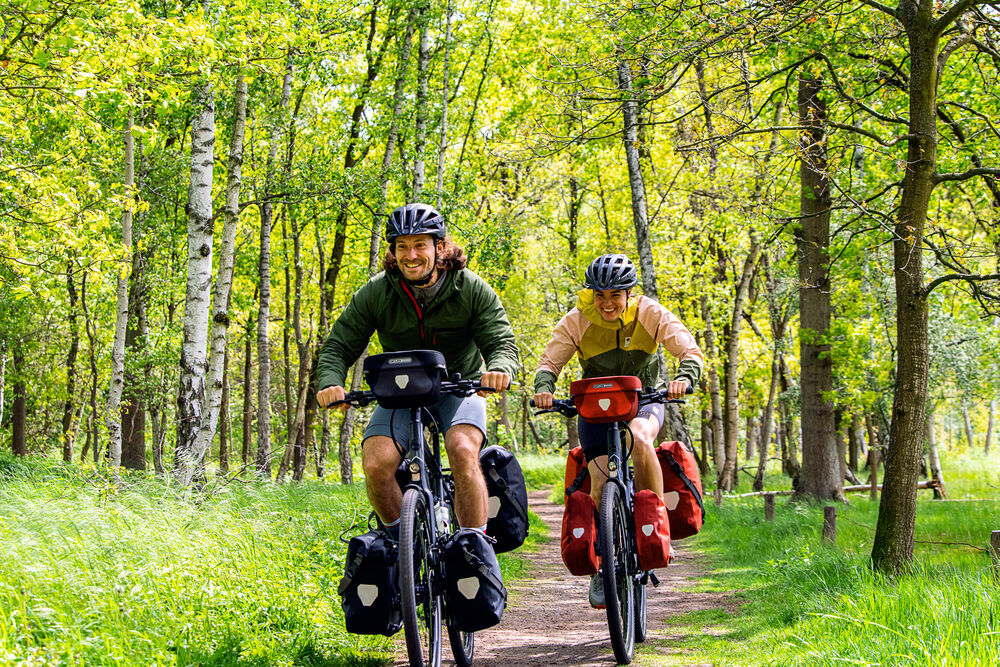 Signal Red - Dark Chile