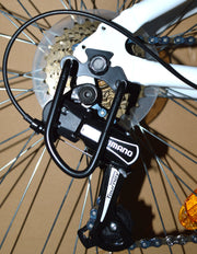 Protège dérailleur PNA fixation moyeu