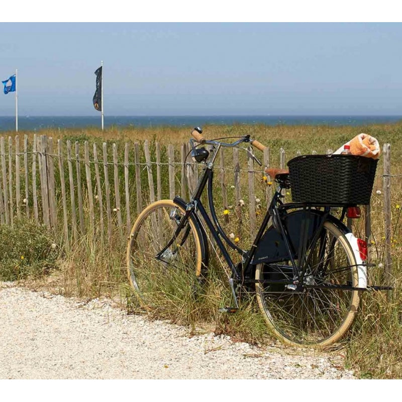 PNA cestino posteriore fisso in simil vimini