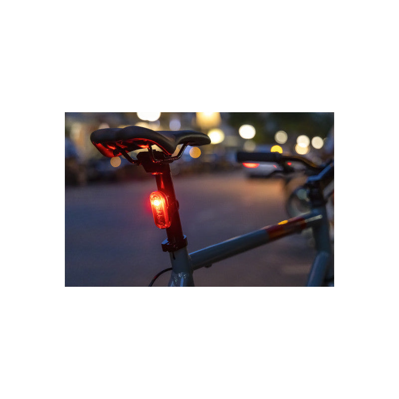 Sigma Curve battery-powered rear bicycle light