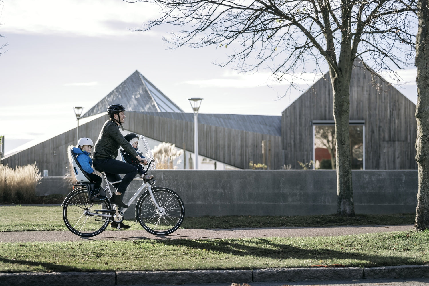 Thule - Yepp Nexxt Maxi - Rear Rack Mounted Child Seat