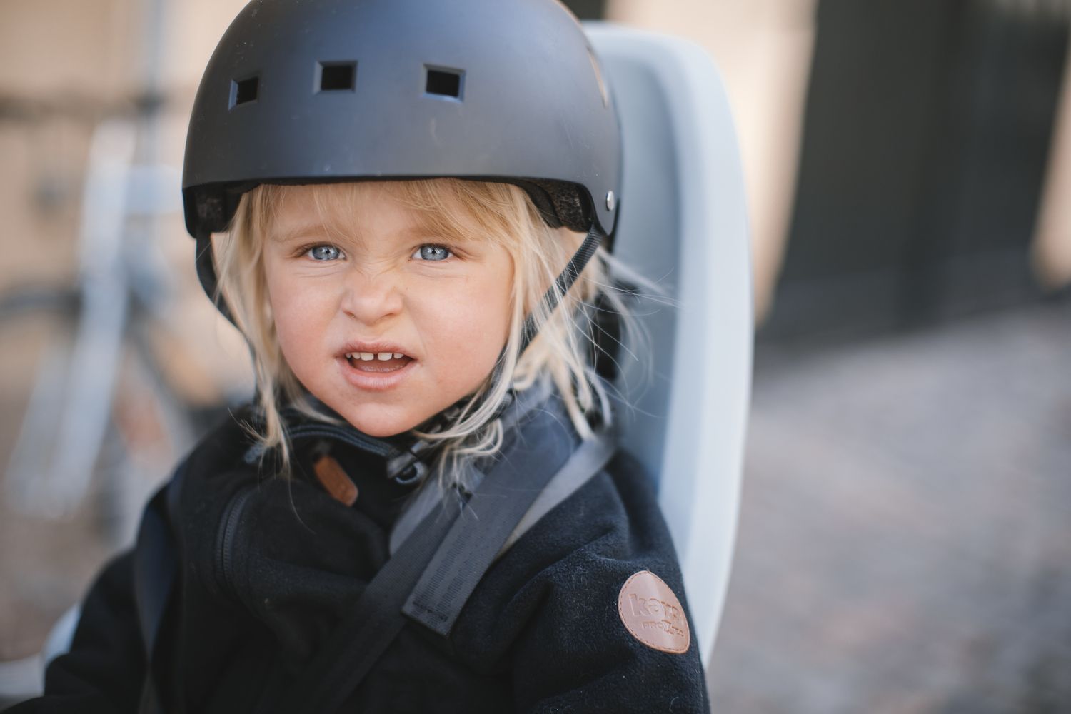 Thule Yepp 2 Maxi child bike seat