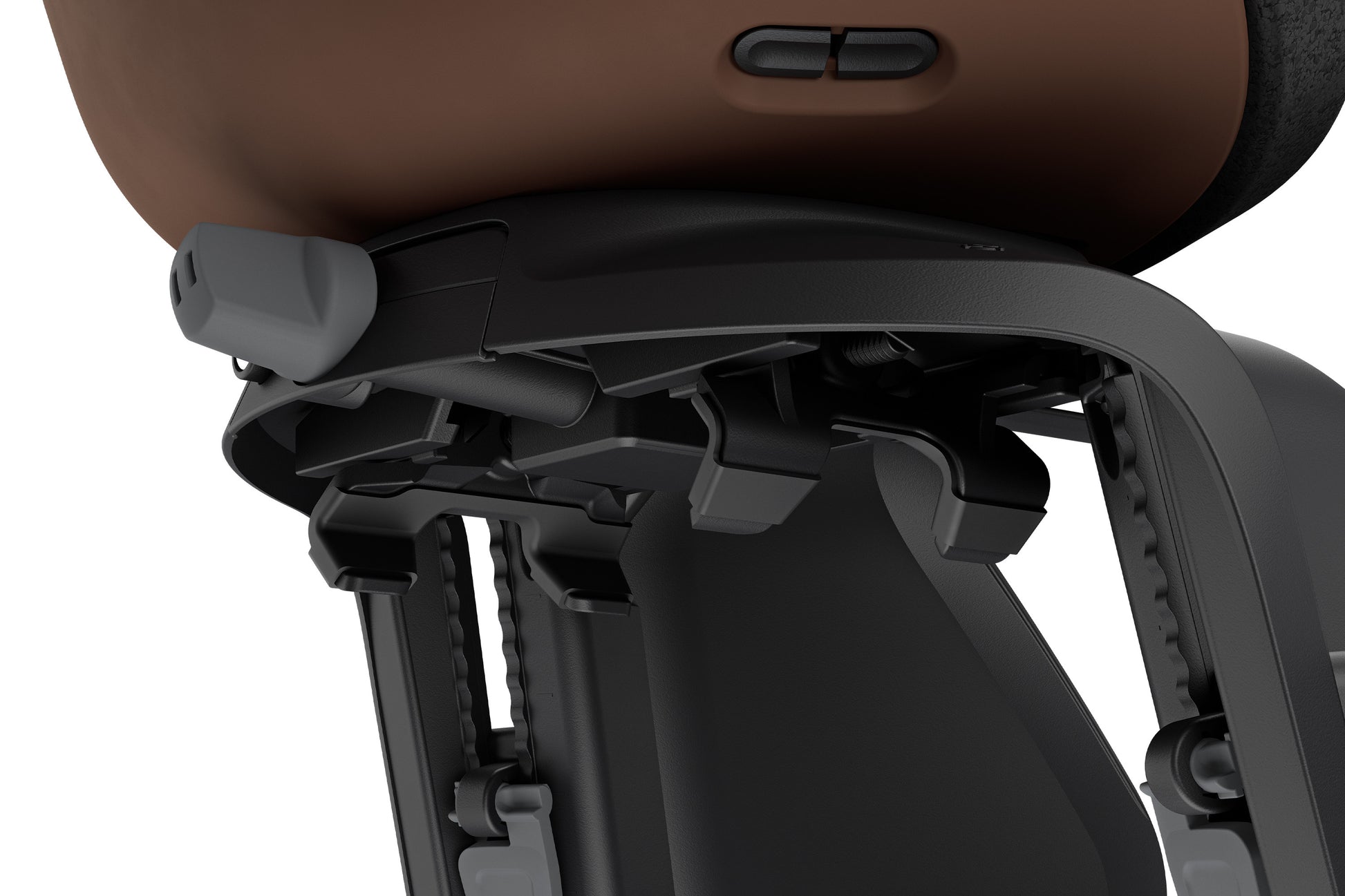Chocolate Brown