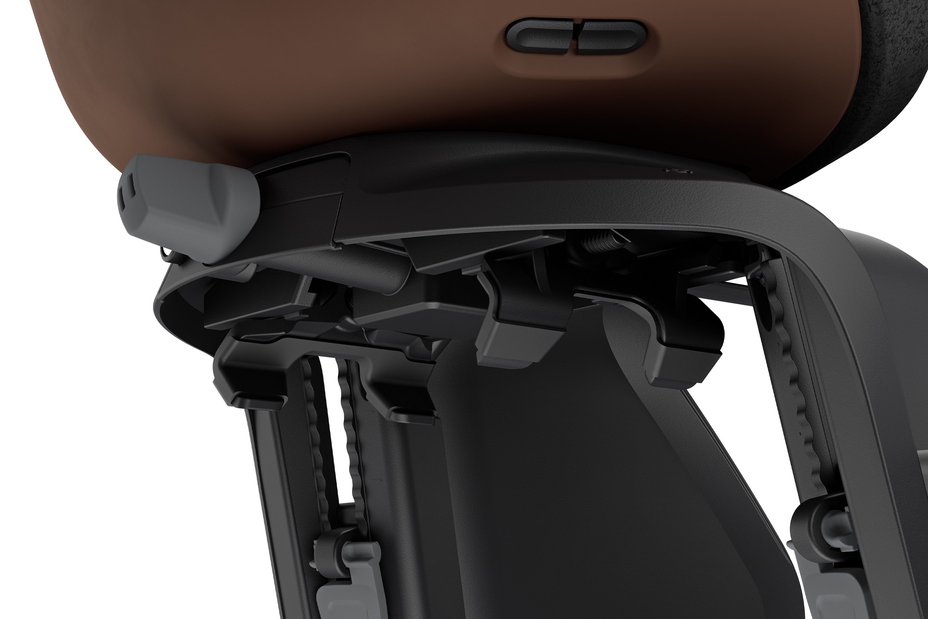 Chocolate Brown