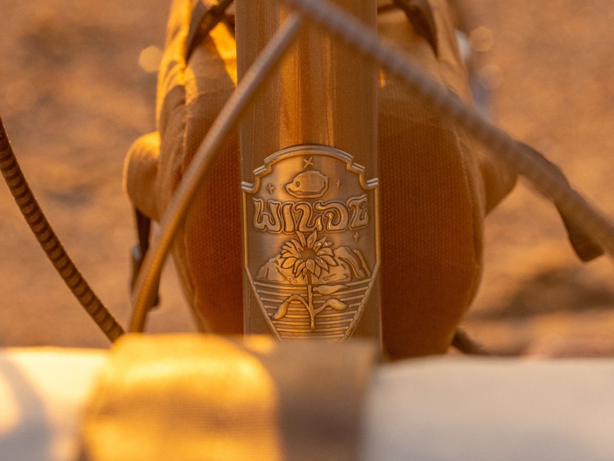 Wilde Supertramp Frameset Dirt Champagne, frame construction detail